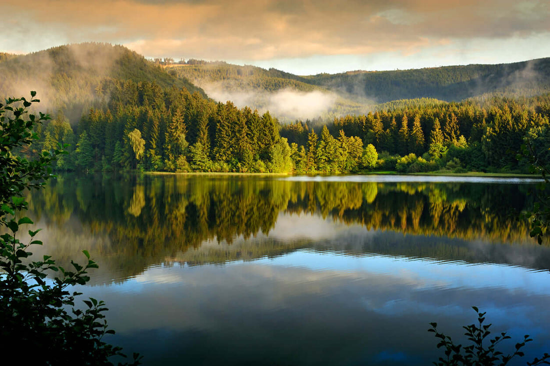 Wandern im Harz: 4 Ausflugsziele für dein nächsten Ausflug