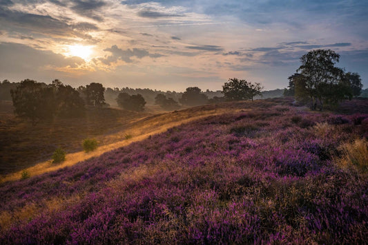 Die 7 besten Wandergebiete in Norddeutschland